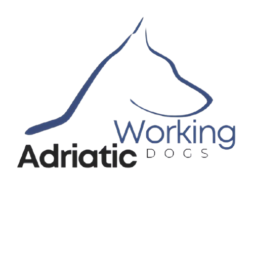 AWD-Logo-removebg-preview AWD-Logo-removebg-preview