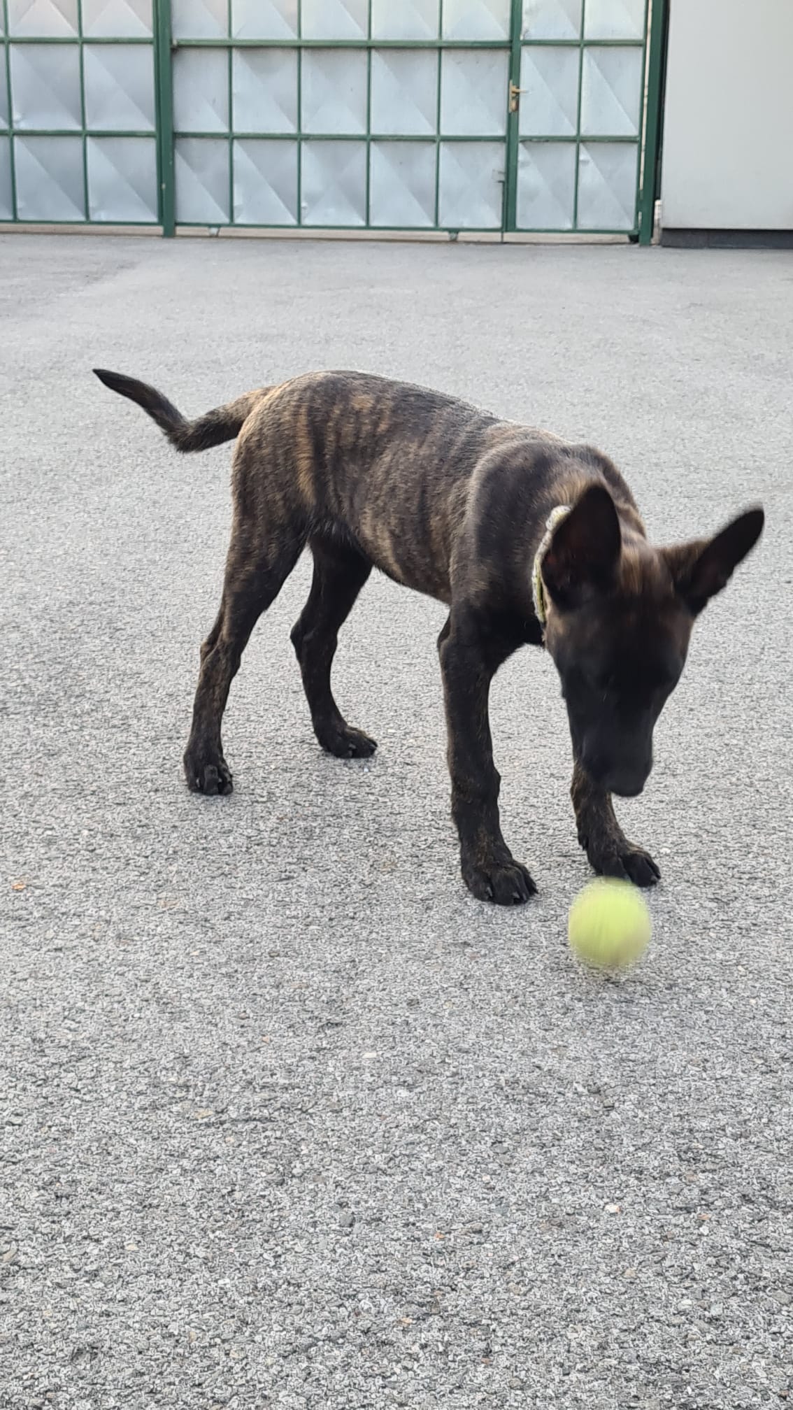 WhatsApp Image 2025-11-06 at 9.58.36 PM (4) WhatsApp Image 2025-11-06 at 9.58.36 PM (4)